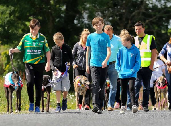 Picture of My product 012